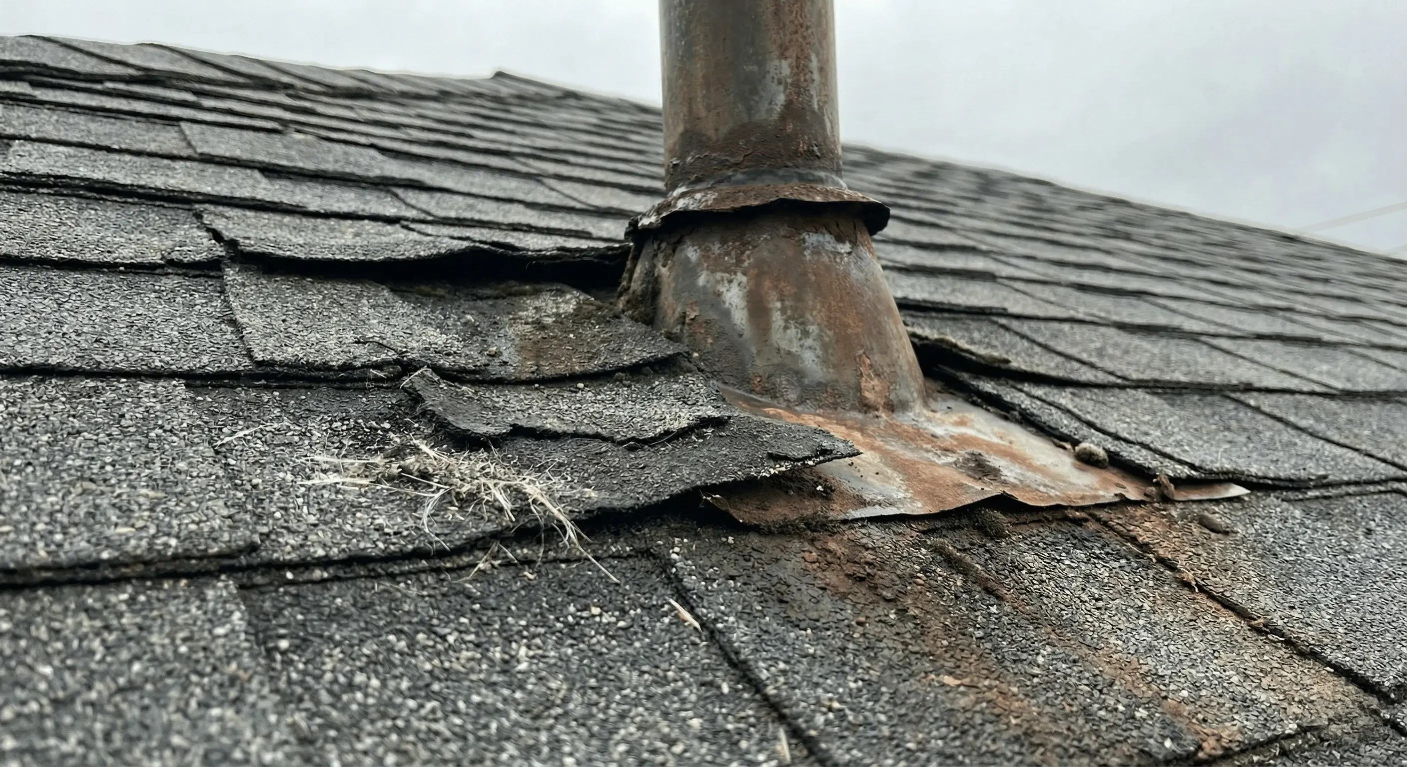Typical Bay Area roof leak sources, including worn shingles and deteriorated flashing around a roof penetration.